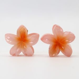 Hair Claw