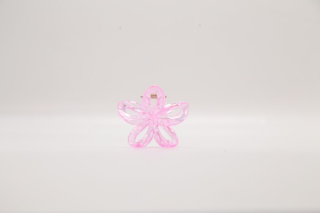 Transparent Hair Clip